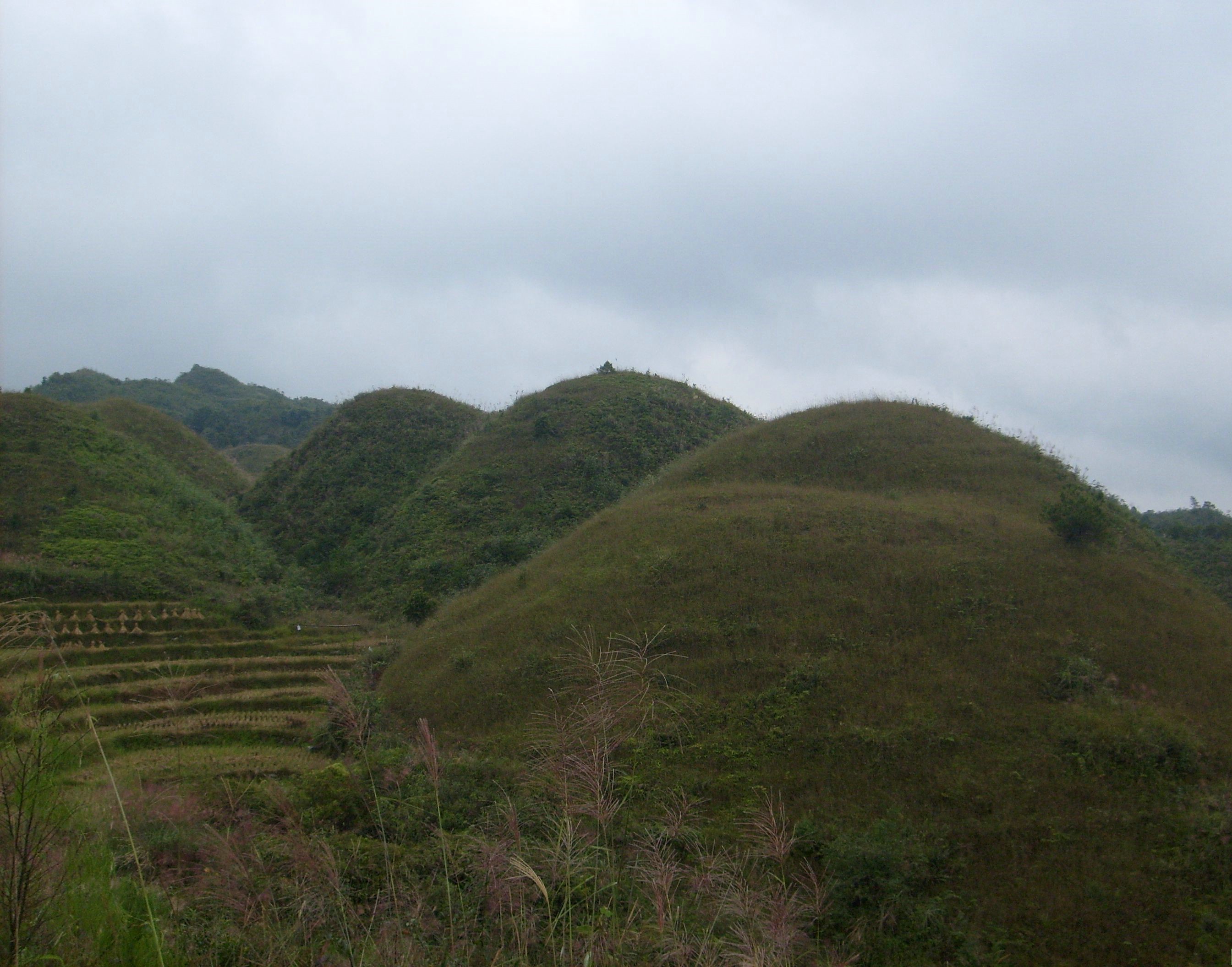 20081026_1bf80c2feb51f6e6edb87yRb0r47e0uR[1].jpg